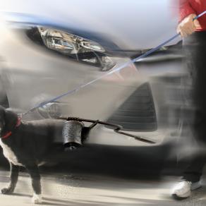 stop alle vivisezioni...