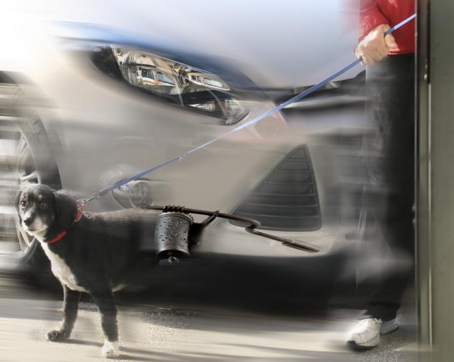 stop alle vivisezioni...