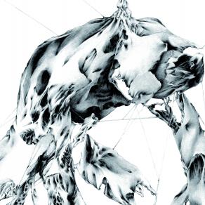 vincolo - particolare