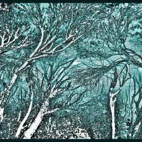 Myrkviðr / Haunted-Woods