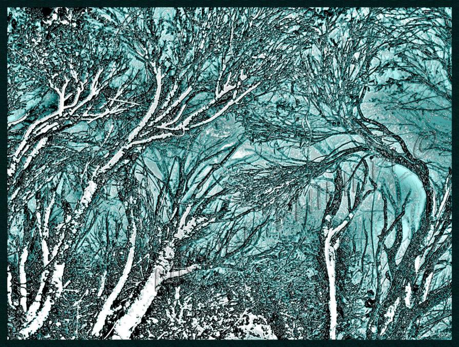 Myrkviðr / Haunted-Woods