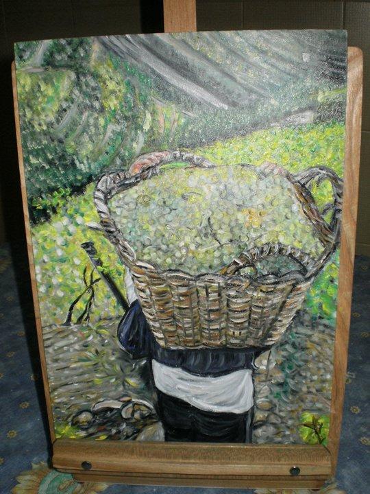 La raccolta dell'uva alle Cinque terre