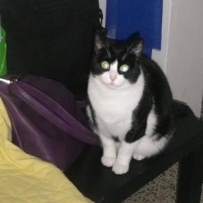 LA SORELLA DI POMPEO