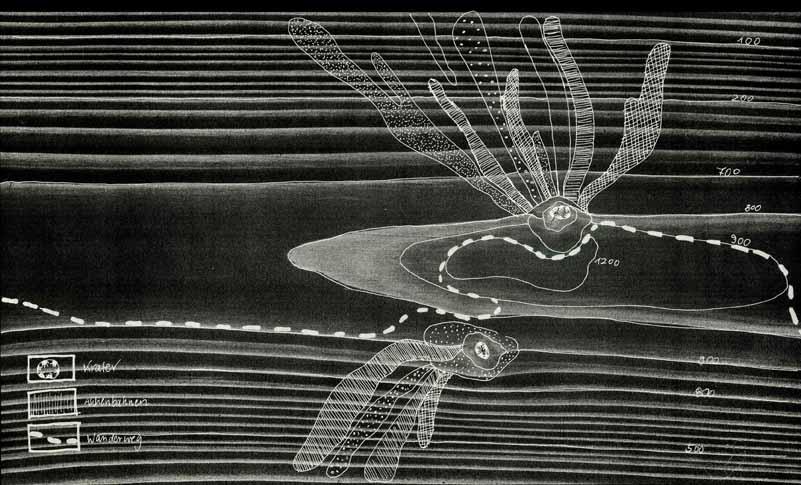 Private Craters Mapping