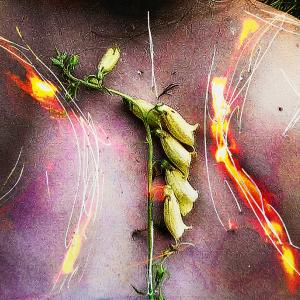 Operation #6 Operation #6