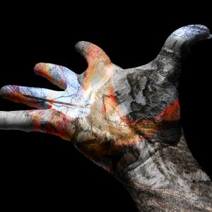 Metamorphosis Metamorphosis