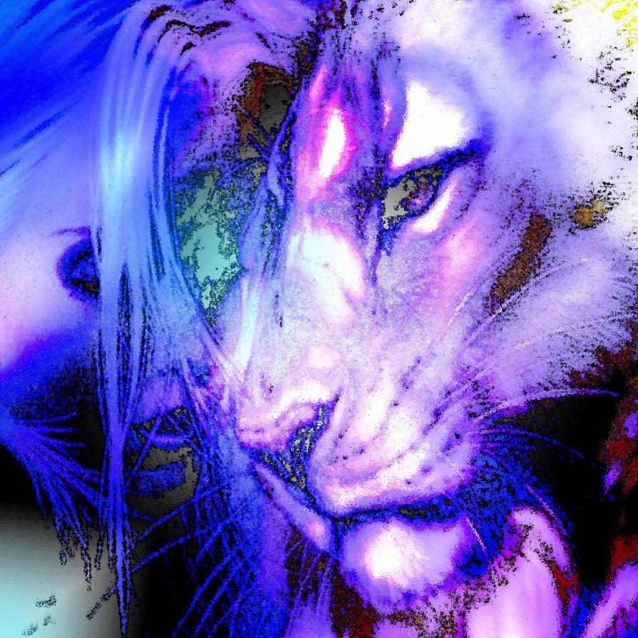 . . . TRANQUILLA !!!!! . . . 