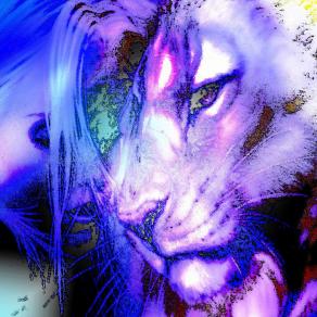 . . . TRANQUILLA !!!!! . . . 