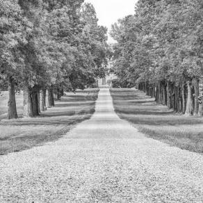 The mistery house The mistery house