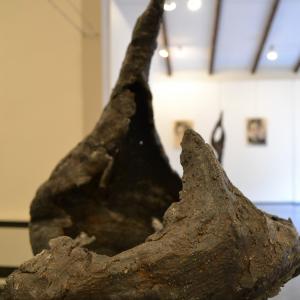 Museo di Cà la Ghironda