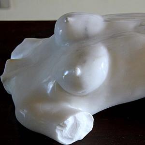 Natura:Luci e Ombre a Modena.