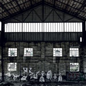 Carlo Vannini, Reggiane