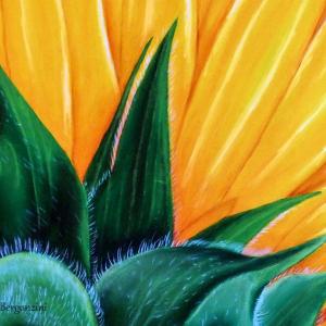 FIORI IN VILLA al CLUB MERIDIANA DI MODENA