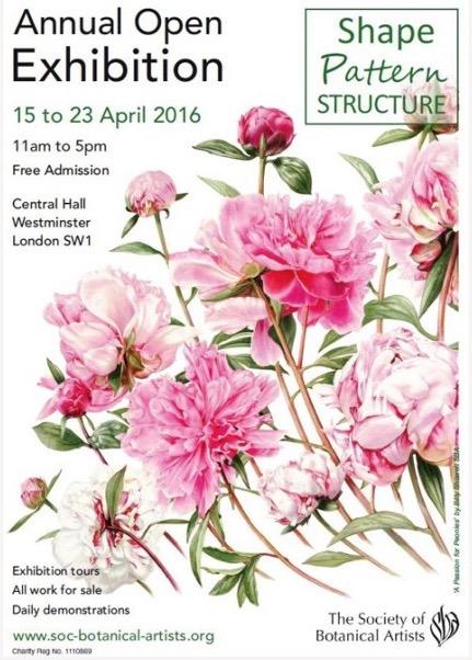 SHAPE PATTERN STRUCTURE