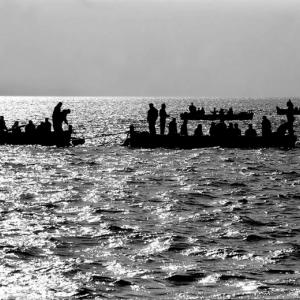 Stefano Fogato, Tunnina frisca, i tonnaroti di Favignana
