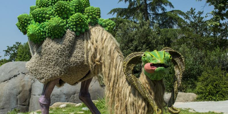 ZOOMaginario 2015: il contest “bestiale” dove l’arte incontra la natura, rispettandola!