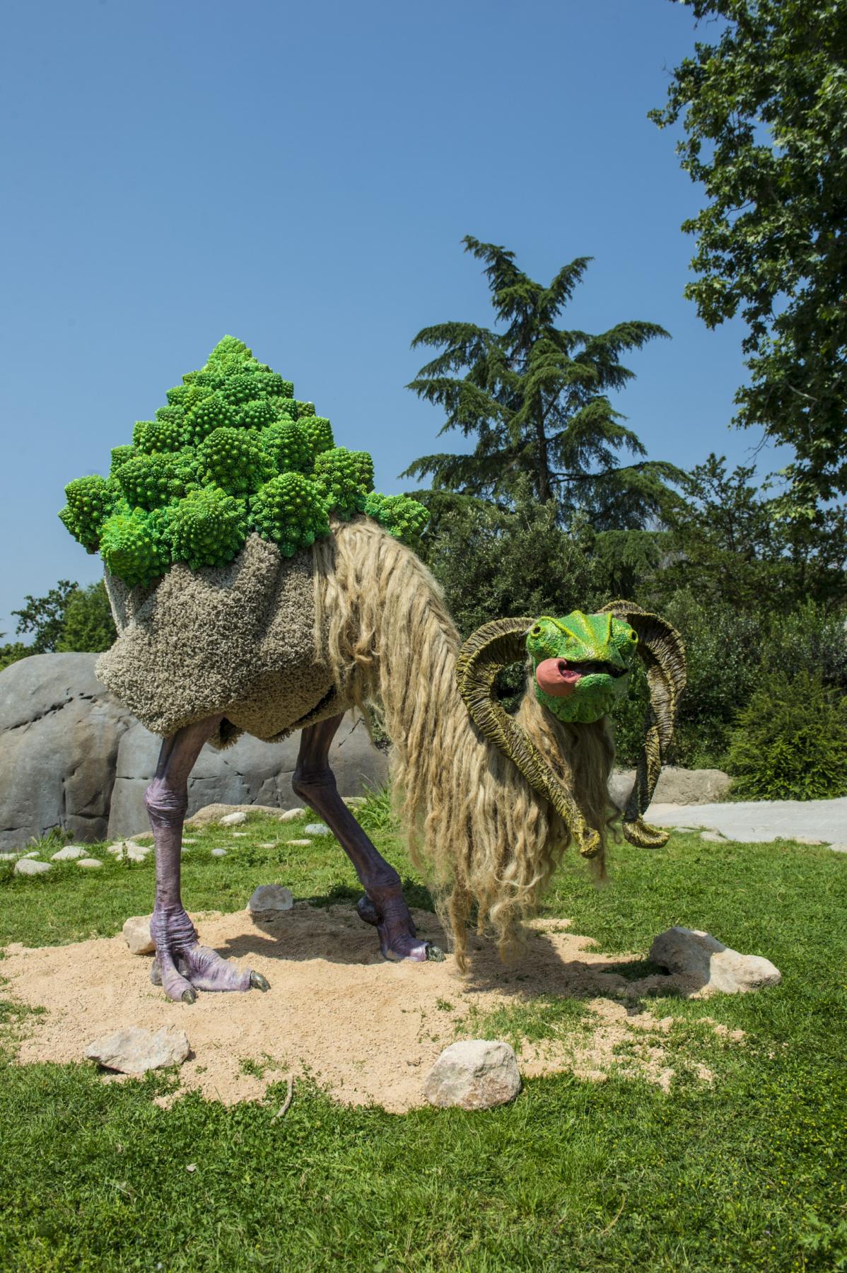 ZOOMaginario 2015: il contest “bestiale” dove l’arte incontra la natura, rispettandola!