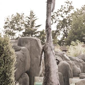 ZOOMaginario: un contest "bestiale"