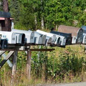 USA. Alaska 1/3. Forme di vita