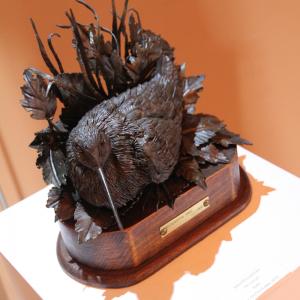 LE FOTO DI ALTRA NATURA IN VILLA fino al 25 ottobre CLUB LA MERIDIANA (MO)