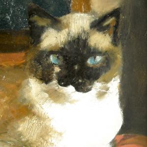 Altra Natura a Revere (mn)