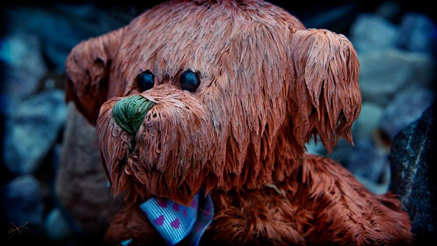 the pretense of formality