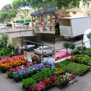 Marché fleuri