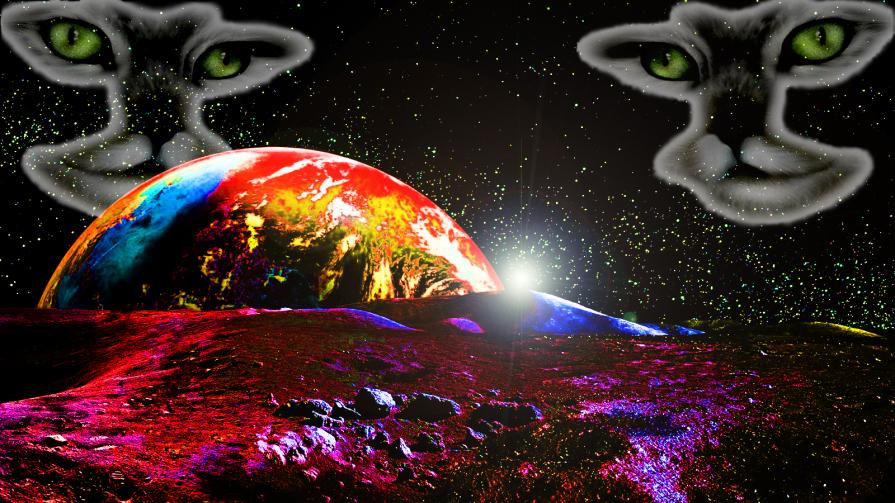 QUANDO L'AMORE VUOL PARLARE, LA RAGIONE DEVE TACERE...!!!