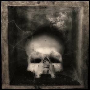 Teschio 1 - Augusto De Luca, fotografo.