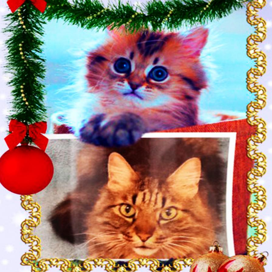 ... CHE ME LO DAI UN BACETTO ??? ...