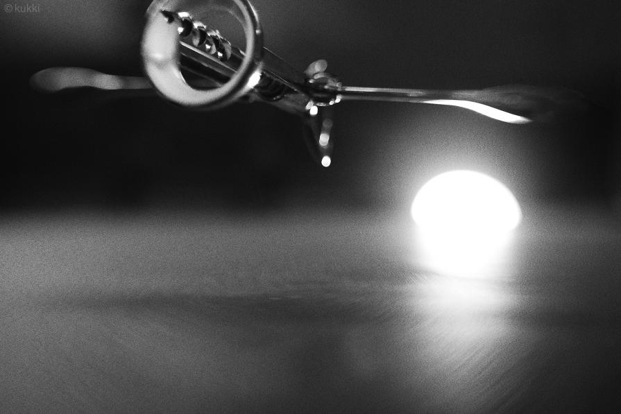 Six thoughts of the same thing - Corkscrew