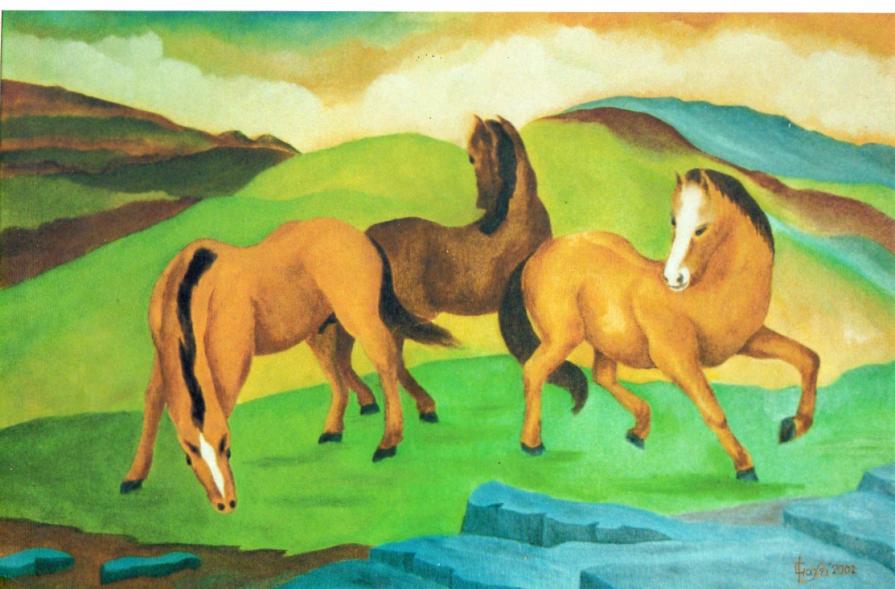 LG 0141 - Cavalli in libertà