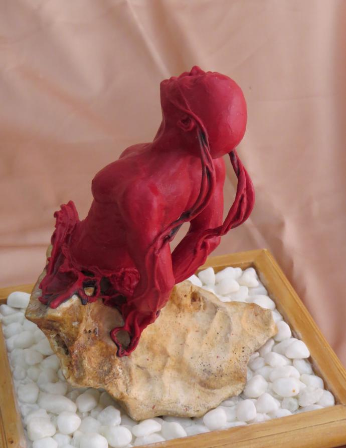 Diversità (diritti ignorati)