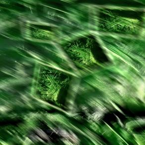 equilibriocromie in verde in movimento costante.