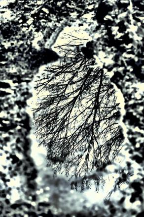 Il riflesso dell'Autunno   ( The Autumn reflection )