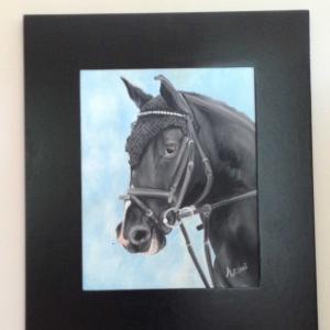 ritratto cavallo olio su tela