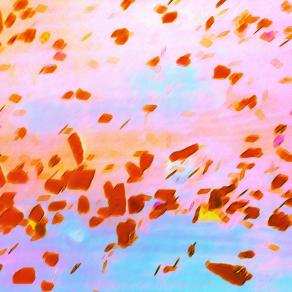 Petalo di Rose nel Vento