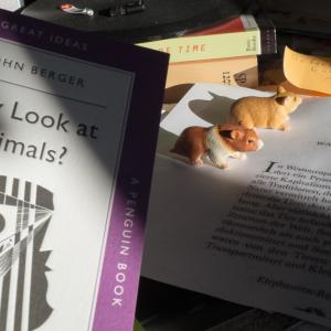 Habitat_project_backstage 15