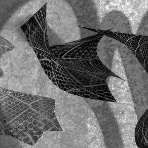 Girl with Combination Skin