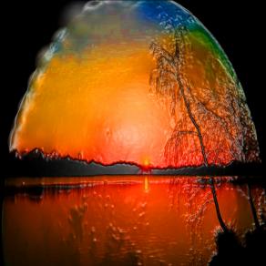  L'albero delle uova.