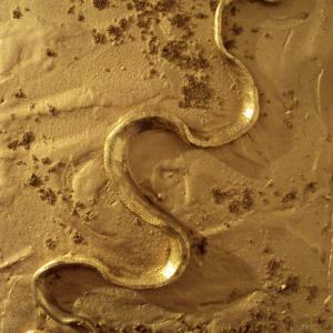 ZOO D'ARTE, L'ARCA DI NOè ALLA GALLERIA ARTEARTE DI MANTOVA