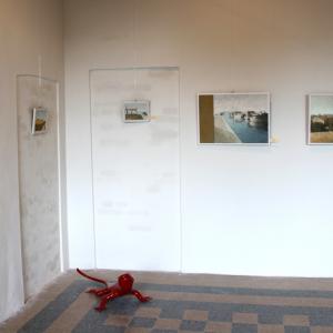 Altra Natura a Revere (mn)