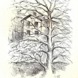 L'incisione al femminile