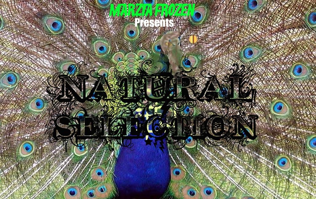 Natural Selection