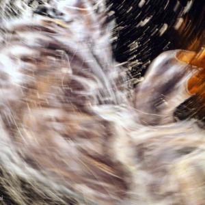 ARTISTANTE EVENT AND SCULPTURES AL CLUB MERIDIANA 