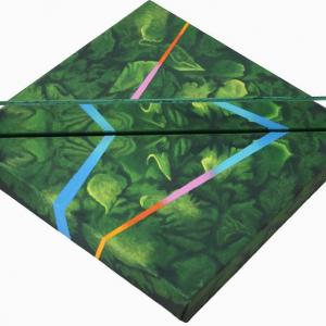 TERRA E FIELE TERRA E FIELE