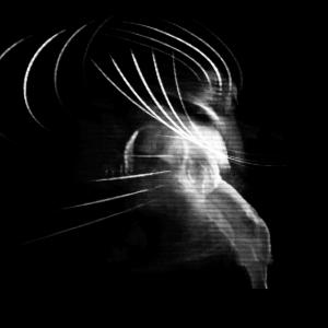 micro & MACRO micro & MACRO