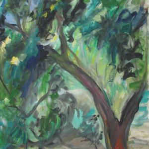 Dialogo con la Natura- oltre i 16:9