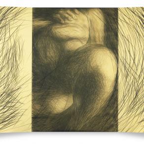 divina carne -volume1