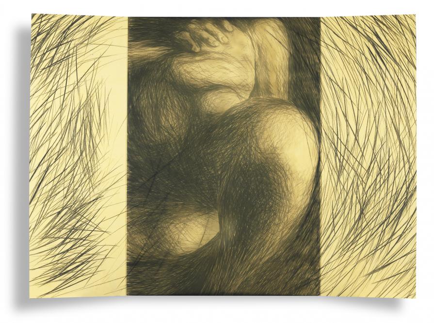 divina carne -volume1